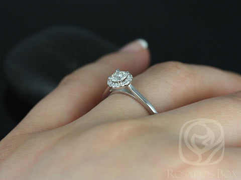 1/3ct Amerie 14kt Diamond Dainty Pave Halo Ring - Rosados Box