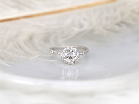 1ct Callie 6.5mm 14kt Moissanite Diamond Pave Round Halo Ring - Rosados Box