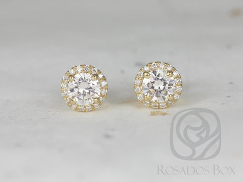 1ct Gemma 5mm 14kt Gold Moissanite Diamond Halo Stud Earrings - Rosados Box