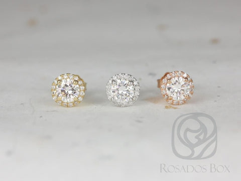 1ct Ready to Ship Gemma 5mm 14kt WHITE Gold Moissanite Diamonds Round Halo Stud Earrings - Rosados Box