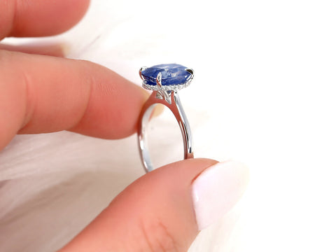 3.78ct Ready to Ship Hayden 14kt White Gold Ombre Blue Sapphire Diamond Hidden Halo Oval Ring - Rosados Box