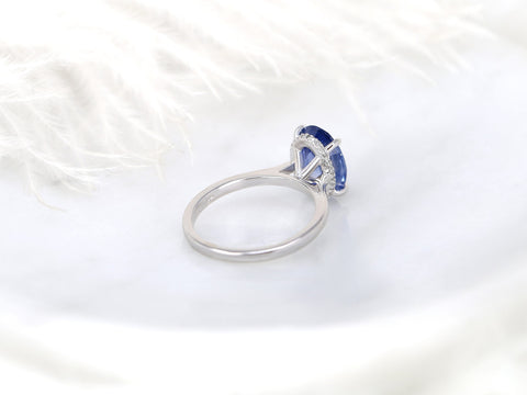 3.78ct Ready to Ship Hayden 14kt White Gold Ombre Blue Sapphire Diamond Hidden Halo Oval Ring - Rosados Box