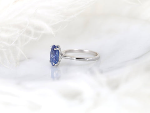 3.78ct Ready to Ship Hayden 14kt White Gold Ombre Blue Sapphire Diamond Hidden Halo Oval Ring - Rosados Box