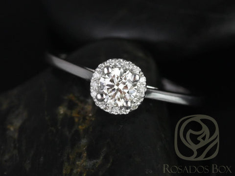 1/3ct Amerie 14kt Diamond Dainty Pave Halo Ring - Rosados Box