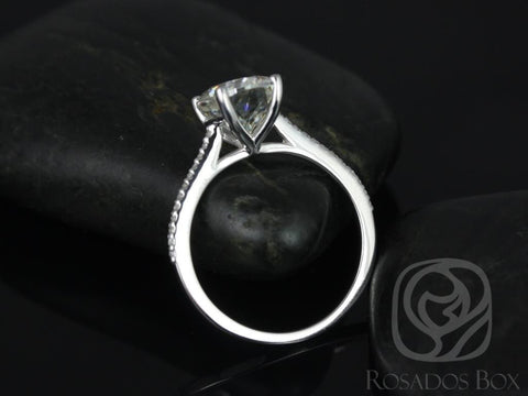 3cts Blake 10x8mm 14kt Gold Moissanite Diamond Pave Oval Solitaire with Accents Ring - Rosados Box