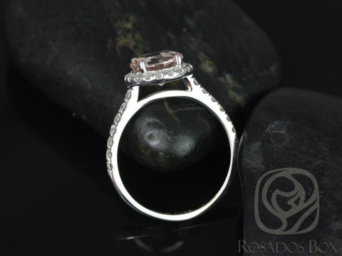 Ready to Ship Dana 8mm 14kt White Gold Morganite Diamonds Round Halo Ring - Rosados Box