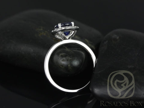 Ready to Ship Katie 7mm 14kt White Gold Round Blue Sapphire and Diamonds Halo Engagement Ring - Rosados Box