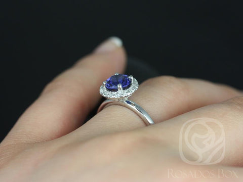 Ready to Ship Katie 7mm 14kt White Gold Round Blue Sapphire and Diamonds Halo Engagement Ring - Rosados Box
