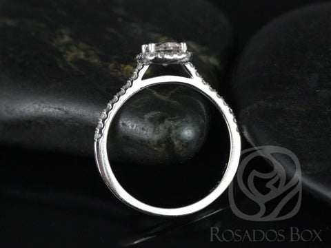 Ready to Ship Romani 7x5mm Platinum Morganite Diamond Cushion Halo Ring - Rosados Box