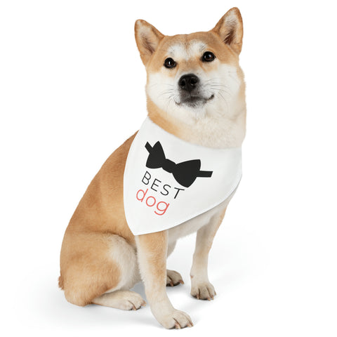Best Dog Bandana Wedding Day Outfit