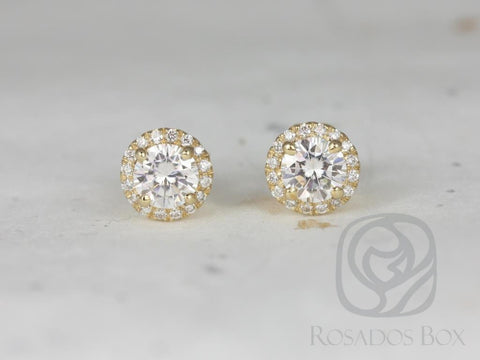 Rosados Box Ready to Ship Gemma 5mm 14kt ROSE Gold Round Forever Brilliant Moissanite Diamonds Halo Stud Earrings