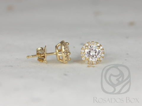 Rosados Box Gemma 5mm 14kt Yellow Gold Round Moissanite Diamonds Halo Stud Earrings
