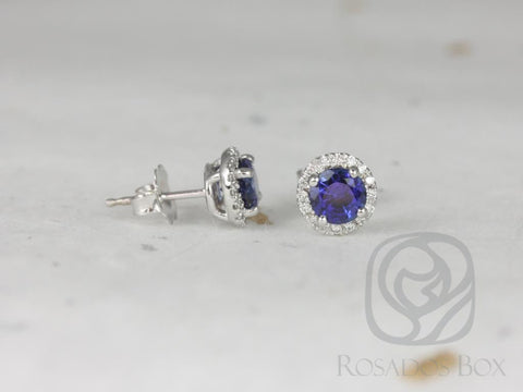 Ready to Ship Gemma 5mm 14kt White Gold Blue Sapphire and Diamonds Halo Stud Earrings
