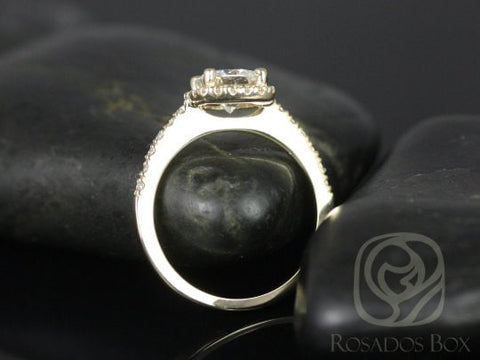 Rosados Box Ready to Ship Randi 6mm 14kt Yellow Gold Cushion Forever One Moissanite and Diamond Halo Engagement Ring