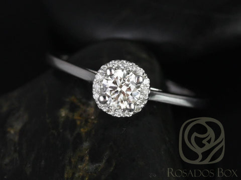 1/3ct Amerie 14kt Diamond Dainty Pave Halo Ring